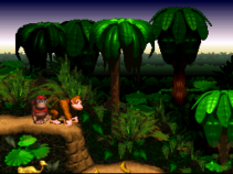 Donkey Kong Country